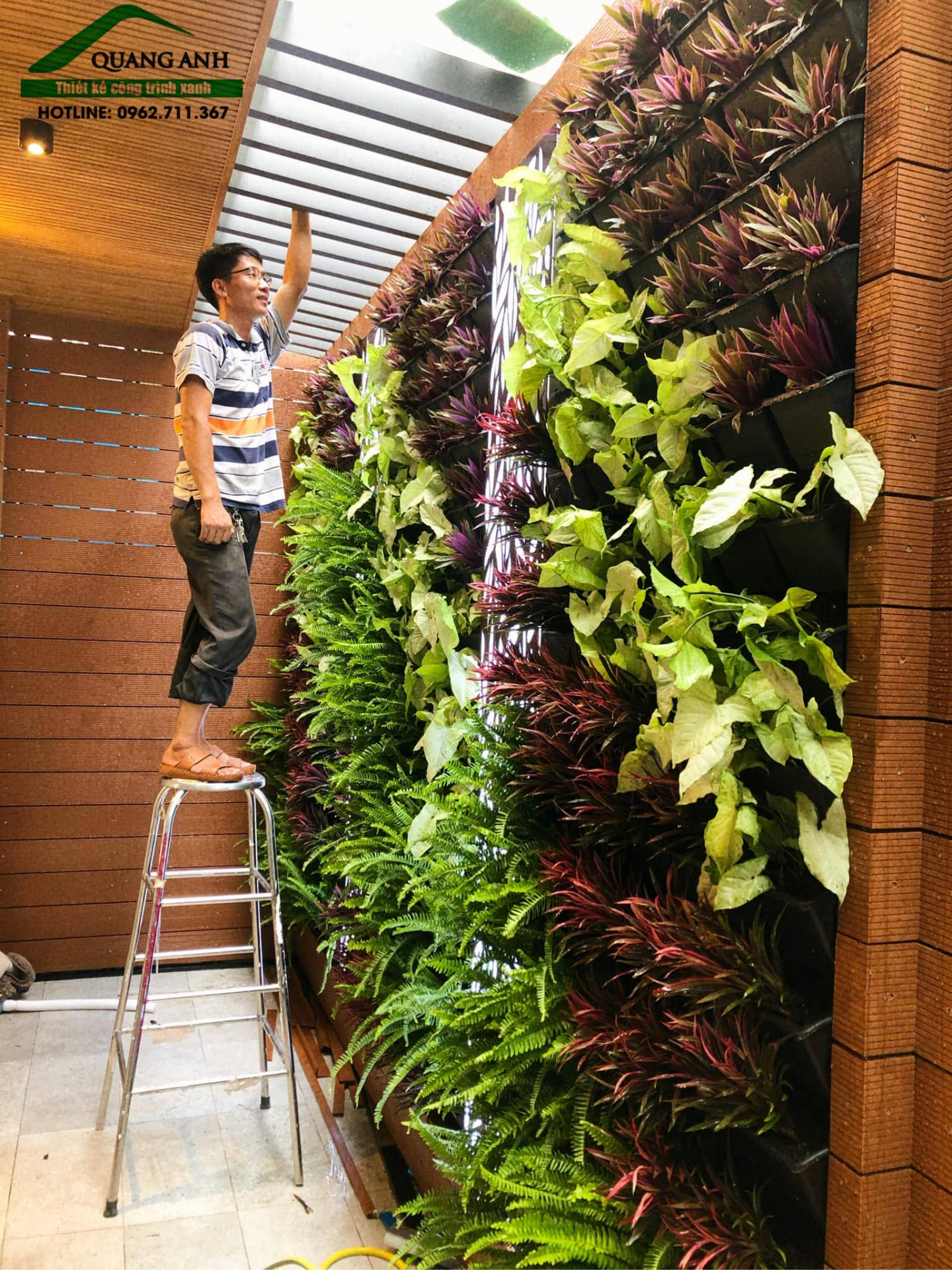 Dịch vụ chăm sóc và bảo dưỡng mảng tường cây xanh, vườn tường đứng uy tín Sài Gòn 