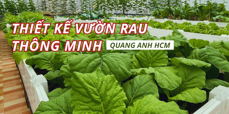 Dịch vụ thiết kế vườn rau thông minh tại Hồ Chí Minh