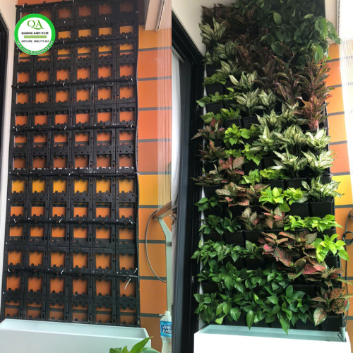 CÁCH THI CÔNG TƯỜNG CÂY CHO BAN CÔNG SIÊU NHANH, SIÊU DỄ AI CŨNG LÀM ĐƯỢC