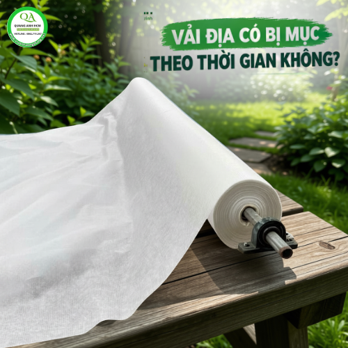 Vải Địa Có Bị Mục Theo Thời Gian Không? Tuổi Thọ Bao Lâu? 