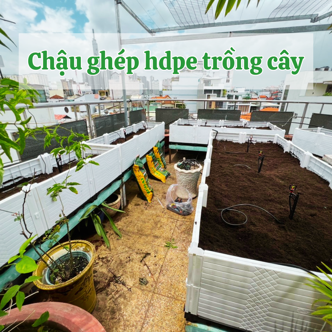 Thiết kế vườn sân vườn trồng cây với chậu ghép Quang Anh