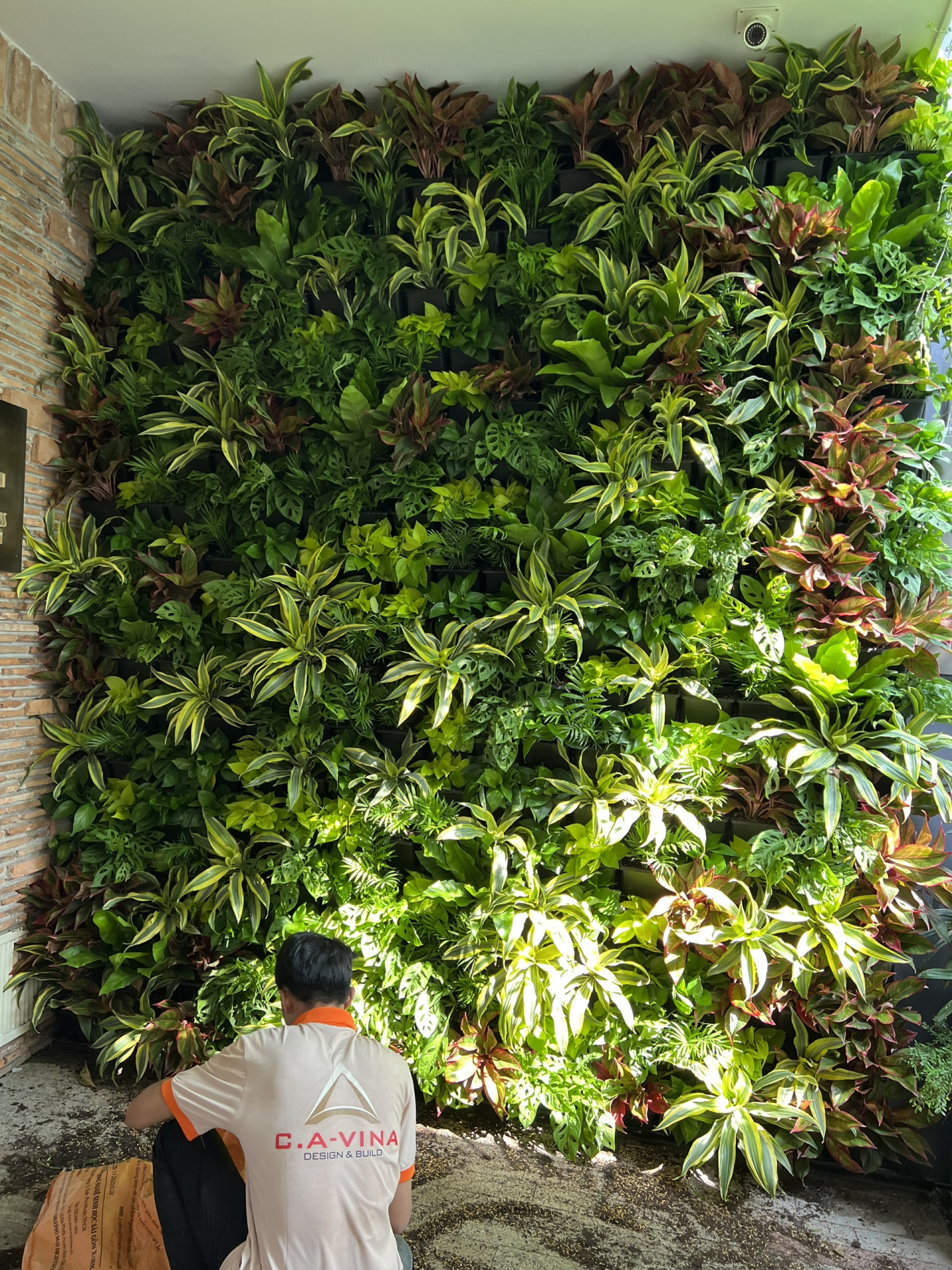Ý tưởng tường cây xanh trang trí không gian nhà ở thoáng mát đẹp mắt với bộ khung chậu nhựa làm vườn tường 