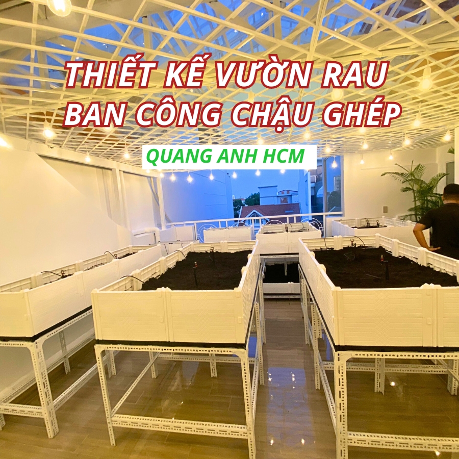 Mẫu thiết kế vườn rau ban công đẹp mắt với chậu ghép thông minh