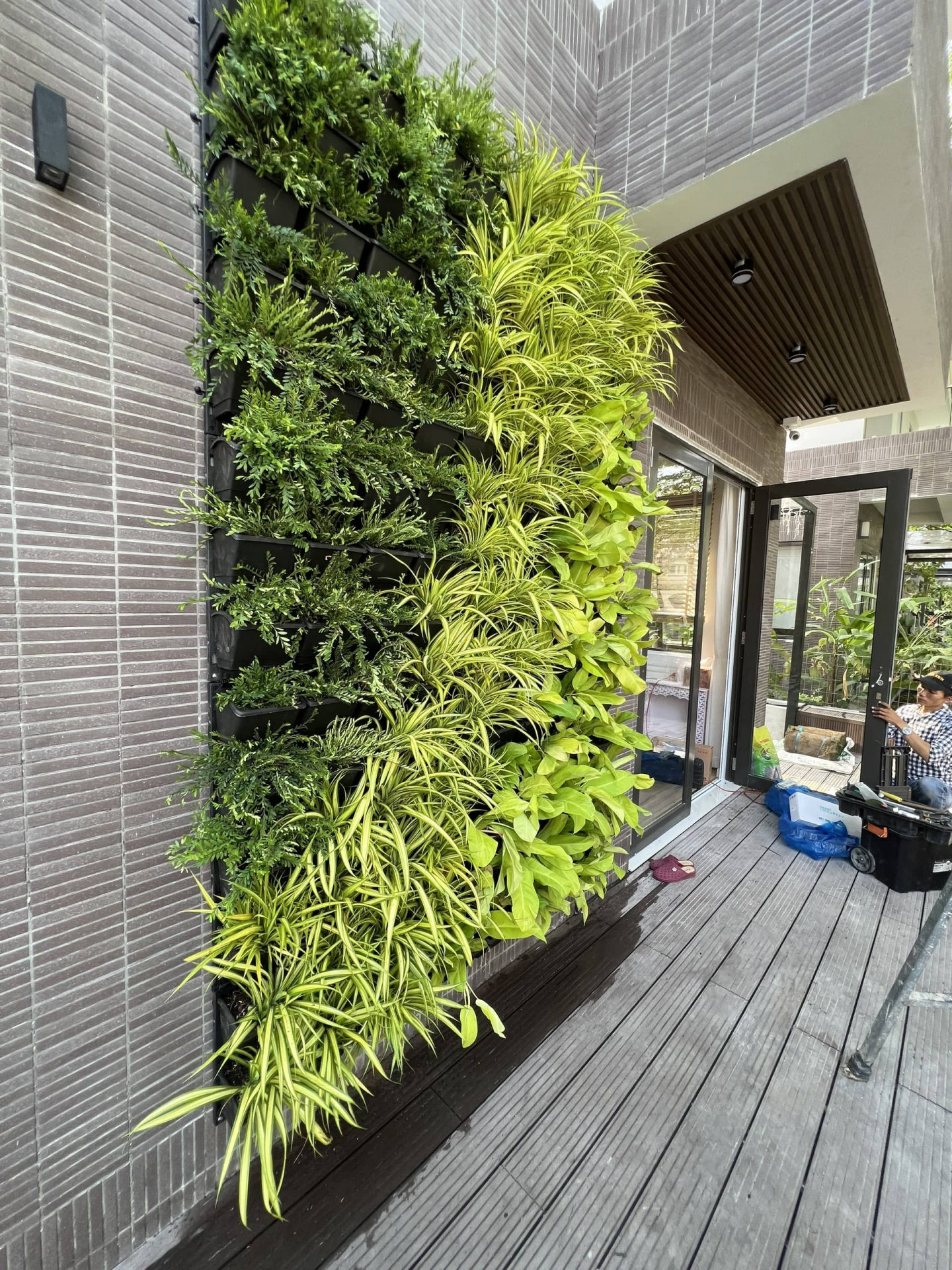 Phong cách trang trí phong thủy cho không gian sống với thiết kế tường cây xanh độc đáo