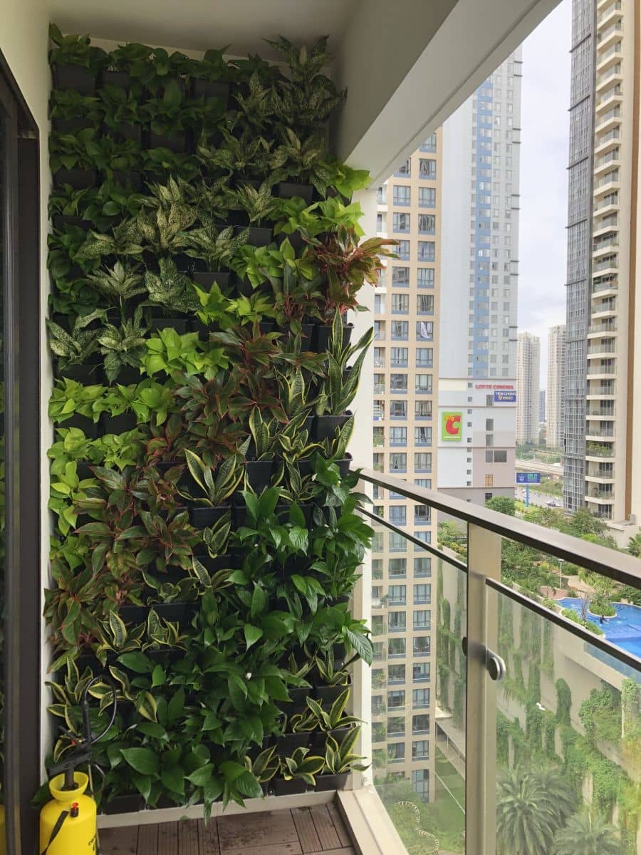 Thi công tường cây xanh Quang Anh HCM trang trí làm đẹp cho view ban công, sân thượng