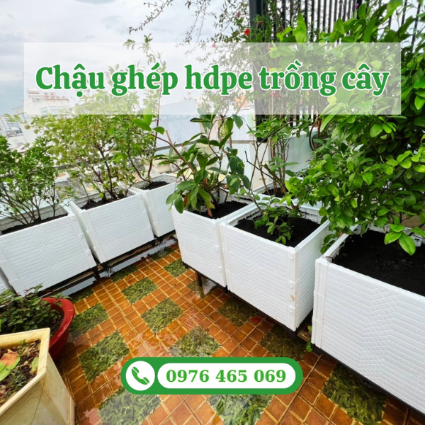 Giá chậu ghép kích thước trồng cây ăn trái