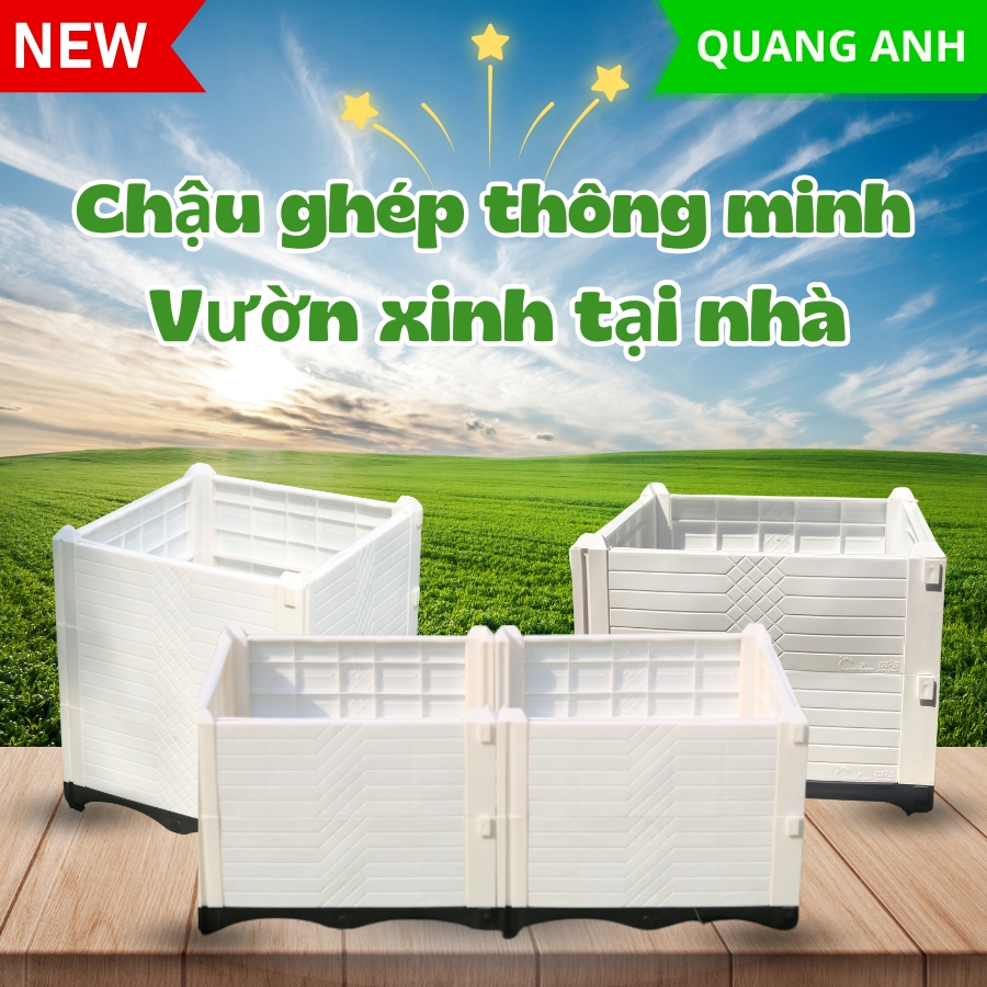 Top 4 kiểu dáng chậu ghép thông minh trồng cây ưa chuộng 