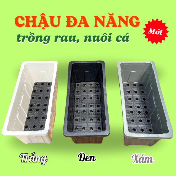 Chậu nhựa chữ nhật đa năng - Chậu trồng rau, nuôi cá tiện lợi