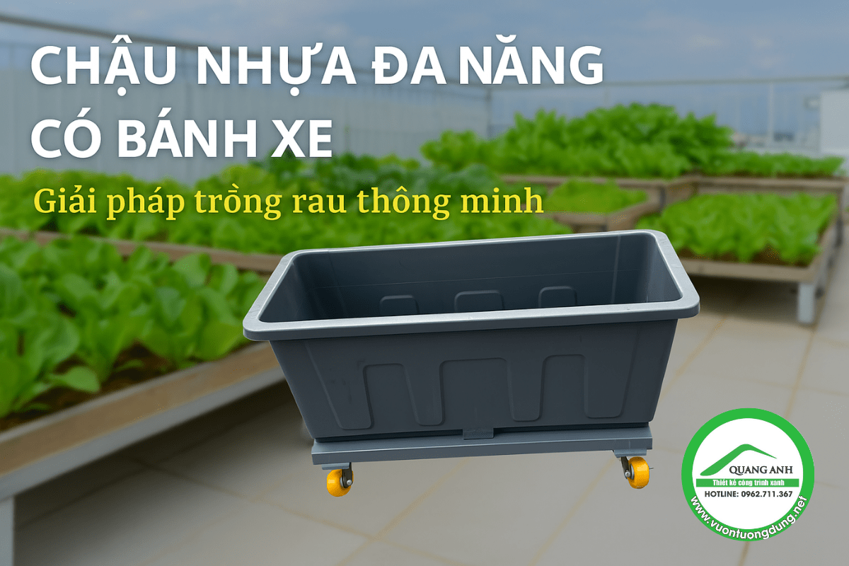 Chậu Nhựa Đa Năng Có Bánh Xe – Giải Pháp Trồng Rau Thông Minh Cho Mọi Không Gian