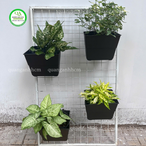 Chậu Trồng Cây Treo Tường Giá Rẻ, Đẹp, Bền QA02 – Được Ưa Chuộng Nhất 2026