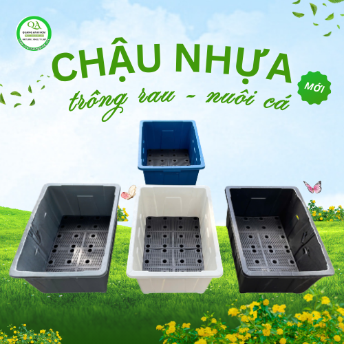 GIẢI PHÁP TỐI ƯU 2IN1: CHẬU NHỰA  ĐA NĂNG TRỒNG RAU, NUÔI CÁ KT 63*43*30 (70L)