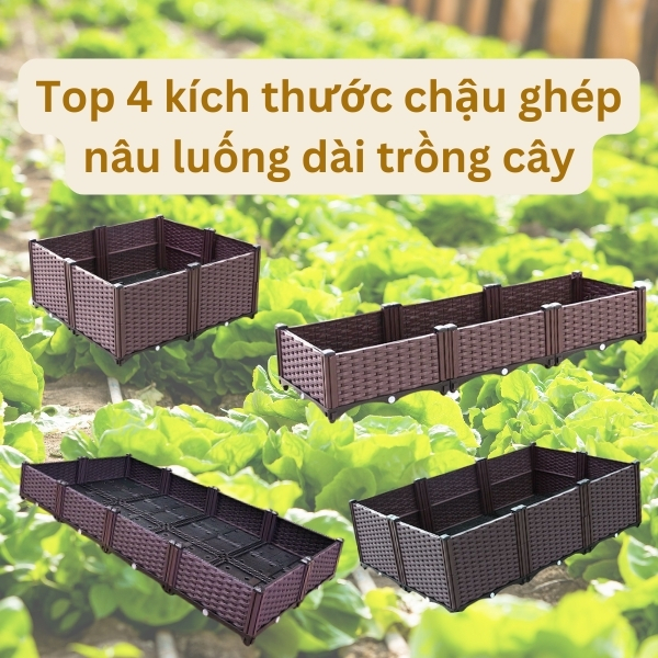 Top 4  kích thước chậu ghép nâu luống dài để trồng cây