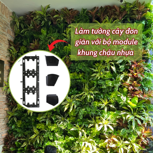 Làm tường cây xanh đơn giản với bộ module vườn tường Quang Anh HCM