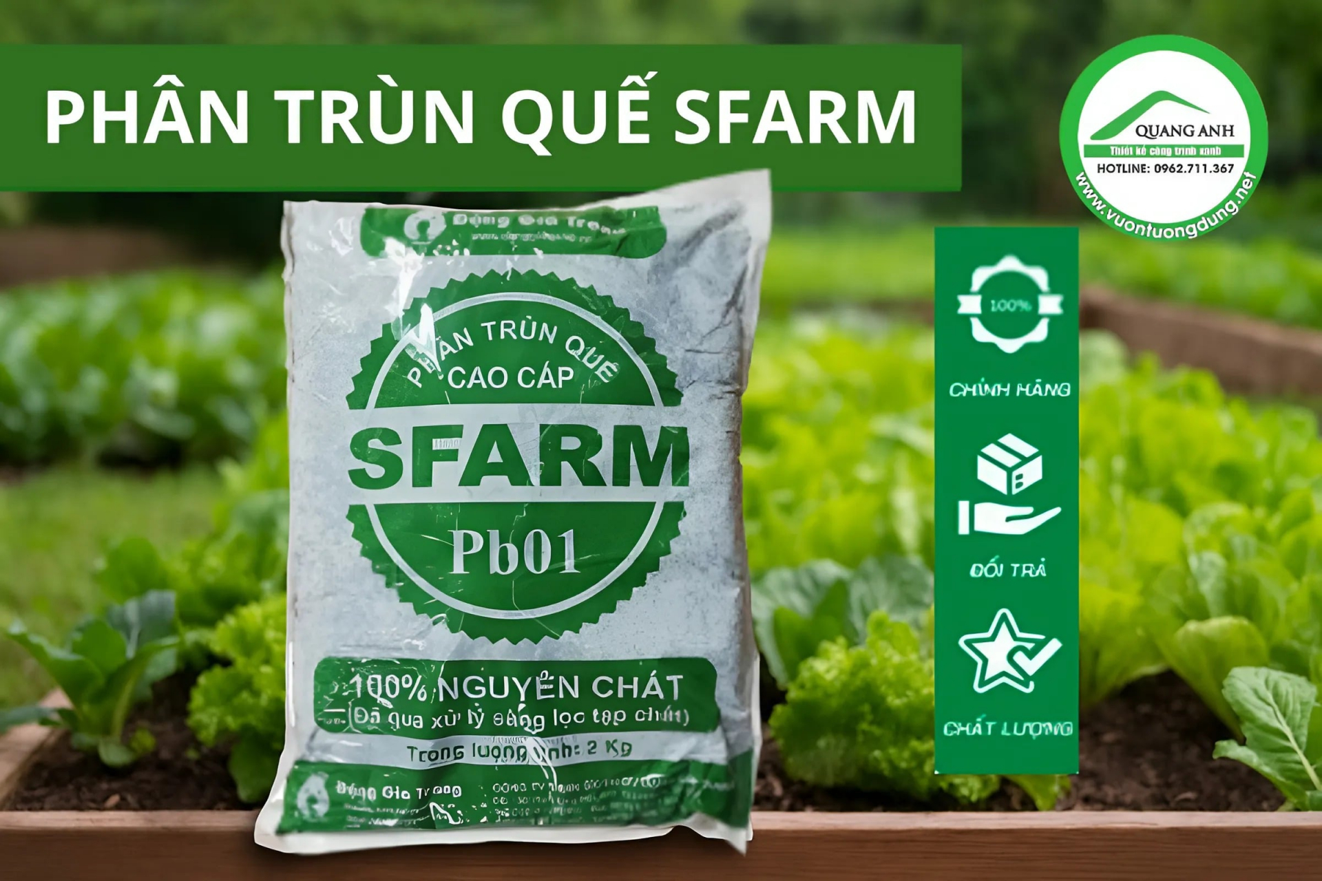Phân Trùn quế Sfarm – Giải pháp hữu cơ tối ưu cho mọi loại cây trồng