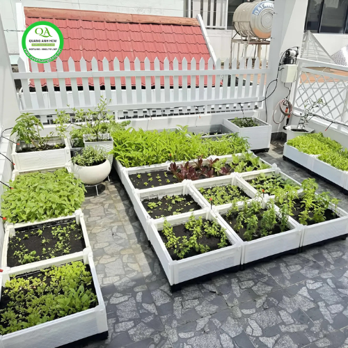 HƯỚNG DẪN CHỌN CHẬU TRỒNG RAU HOÀN HẢO CHO BAN CÔNG VÀ SÂN THƯỢNG