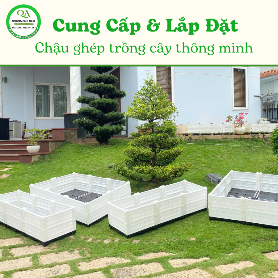 Dịch vụ cung cấp và lắp đặt chậu ghép trồng rau, trồng cây tại Hồ Chí Minh