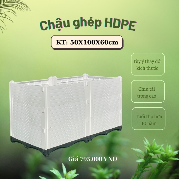 chau-ghep-50-100-60