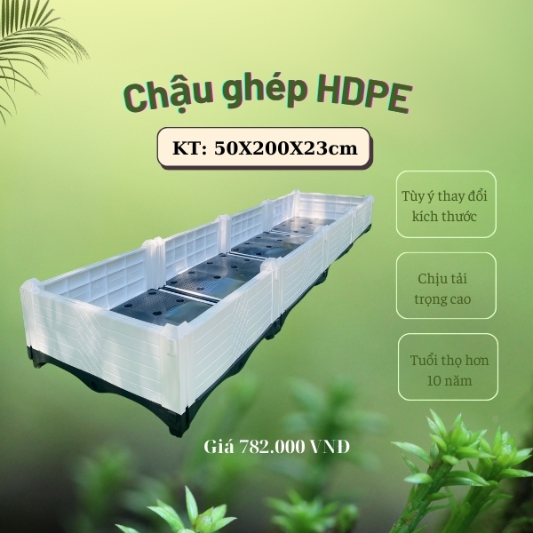 chau-ghep-kt-50-200-23