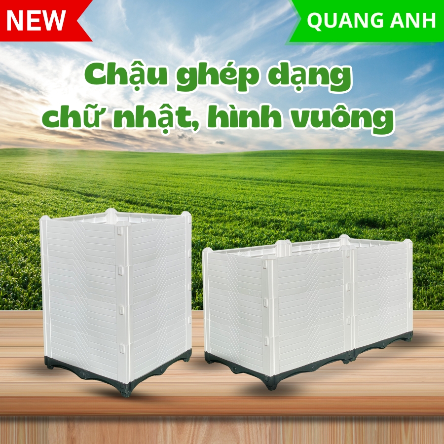 chau-ghep-hinh-vuong