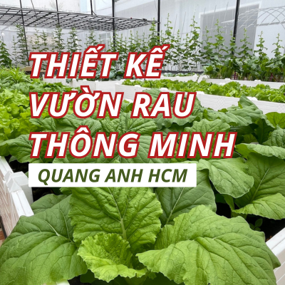 thiet-ke-vuon-rau-thong-minh