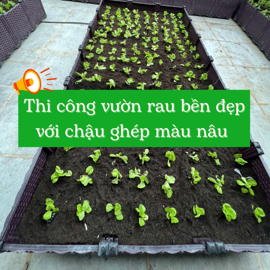 thi-cong-vuon-rau-chau-ghep-nau-1