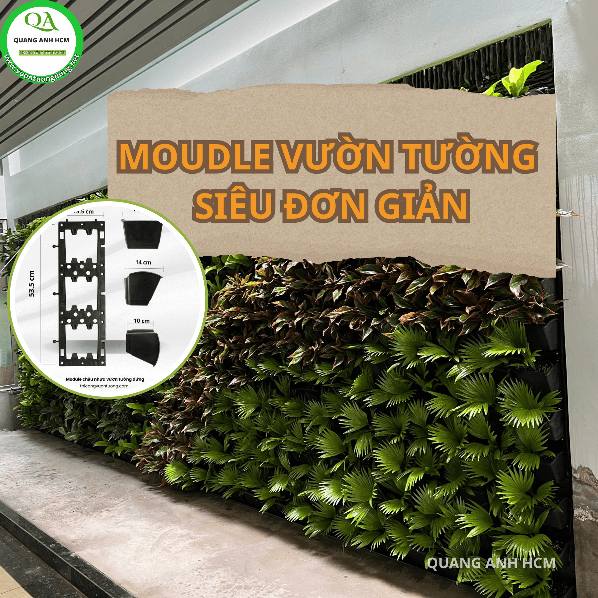 CẢI TIẾN TƯỜNG TRƠN NHÀ BẠN THÀNH VƯỜN CÂY XANH MÁT VỚI MODULE VƯỜN TƯỜNG.